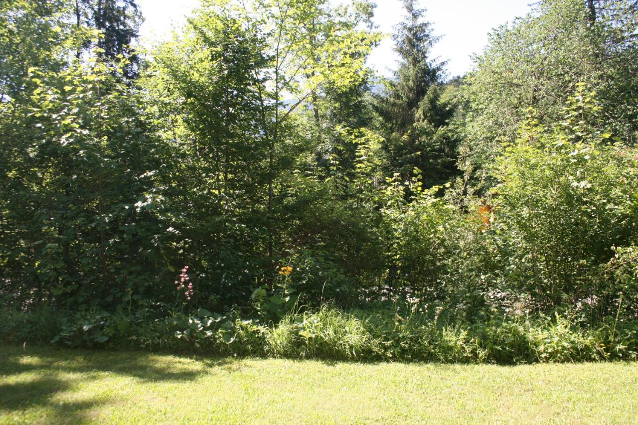Grunau Feriendomizil Apartamento Grünau im Almtal Exterior foto